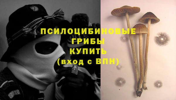 гидропоника Абдулино