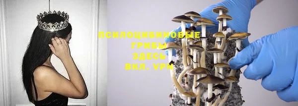 гидропоника Абдулино
