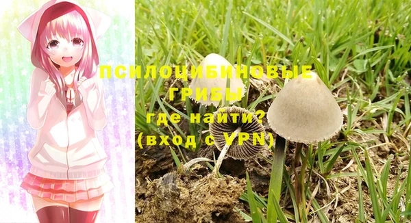 гашишное масло Абаза
