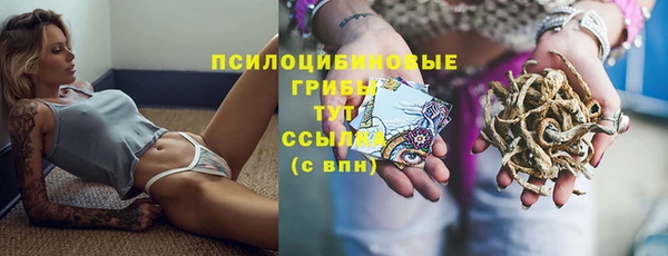 первитин Рославль