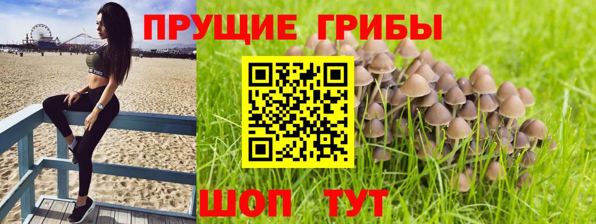 Псилоцибиновые грибы мухоморы Сертолово