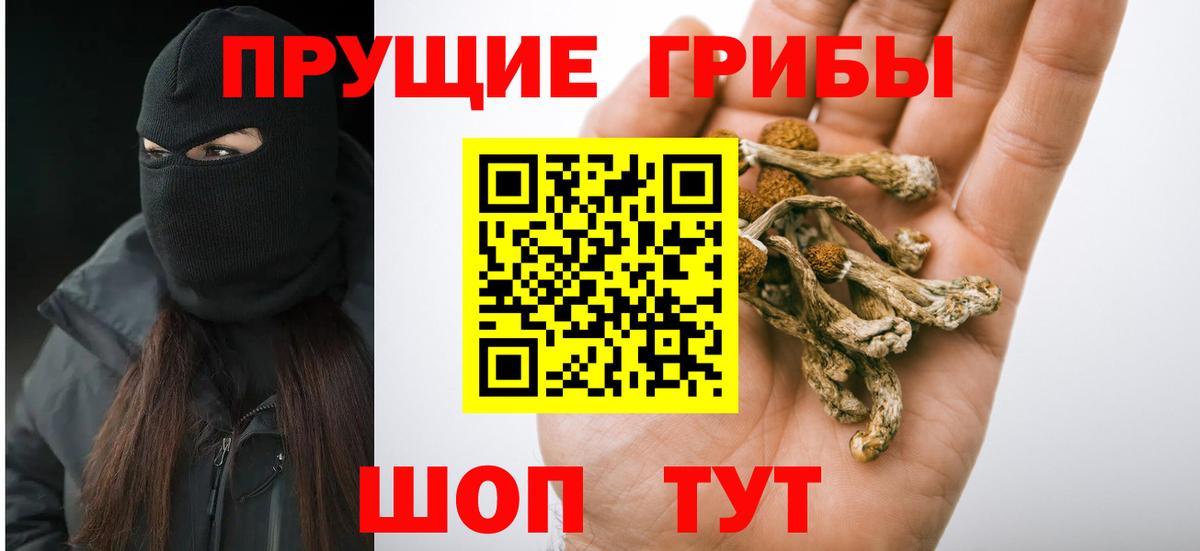 Сертолово  Псилоцибиновые грибы GOLDEN TEACHER  купить   Вход с VPN 