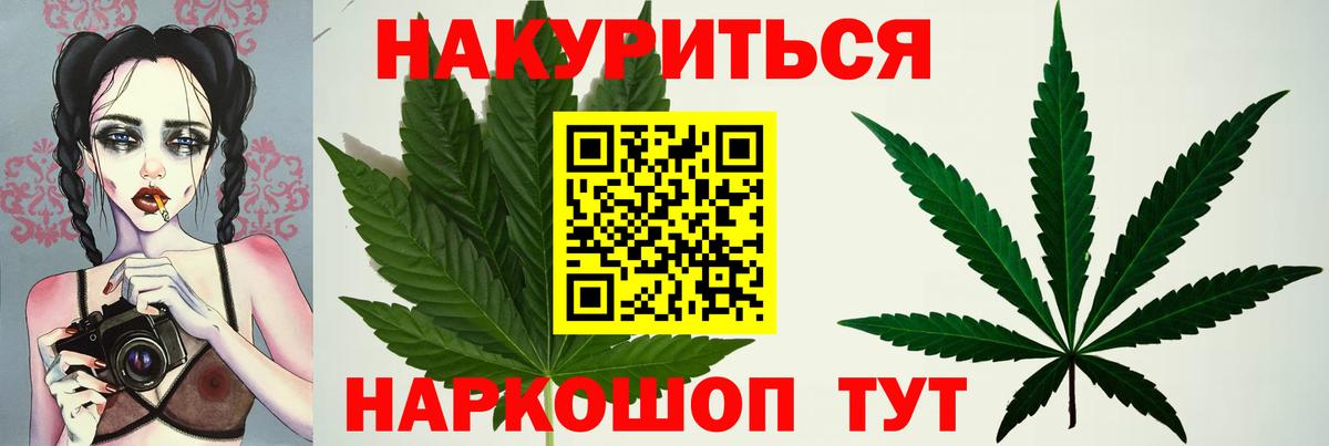 Канабис марихуана  Бошки Шишки план  Вход с VPN  Бошки Шишки White Widow  Марихуана план  Сертолово 